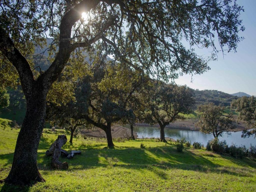 Finca La Vicaria Palomar Zufre المظهر الخارجي الصورة