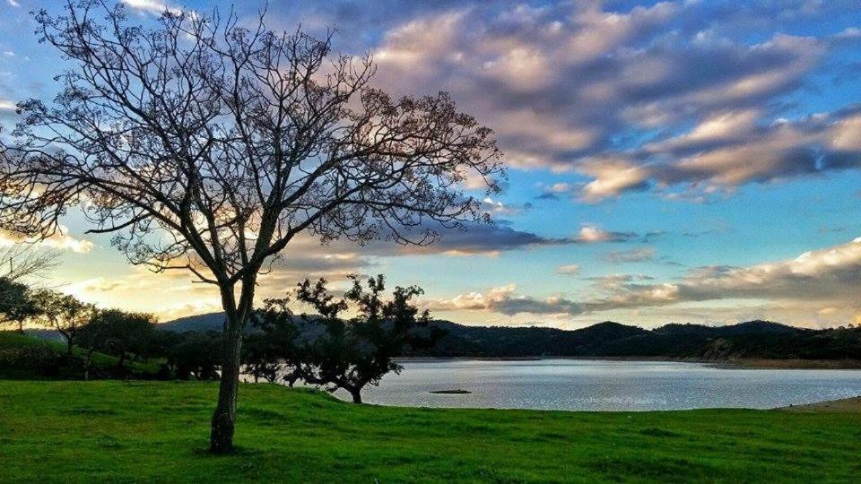 Finca La Vicaria Palomar Zufre المظهر الخارجي الصورة